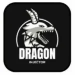 Dragon Injector
