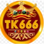 H555 Game