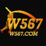 W567 Game